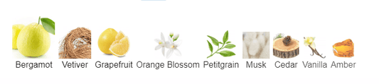 Bergamia - Frages Fragrances