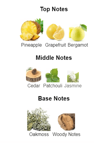 Istanbul - Frages Fragrances